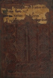Liber phisionomie (Copy 2)