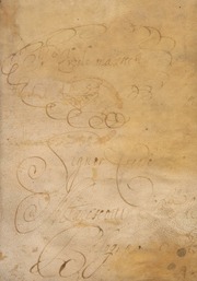 Liber phisionomie Magistri Michaelis Scoti