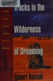 Tracks in the wilderness of dreaming : exploring interior landscape through practical dreamwork