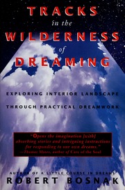 Tracks in the wilderness of dreaming