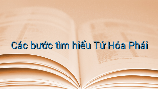 Các bước tìm hiểu Tứ Hóa Phái