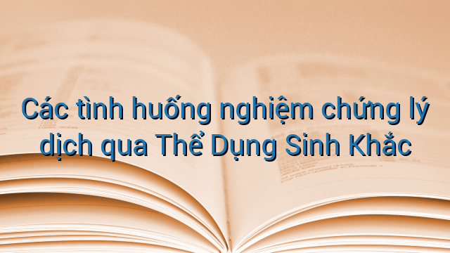 Các tình huống nghiệm chứng lý dịch qua Thể Dụng Sinh Khắc