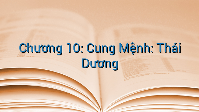 Chương 10: Cung Mệnh: Thái Dương