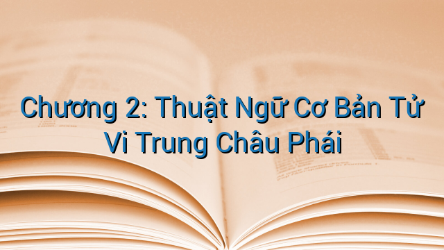 Chương 2: Thuật Ngữ Cơ Bản Tử Vi Trung Châu Phái