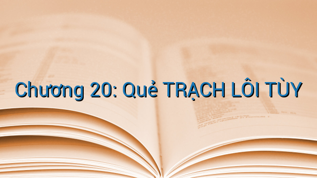 Chương 20: Quẻ TRẠCH LÔI TÙY