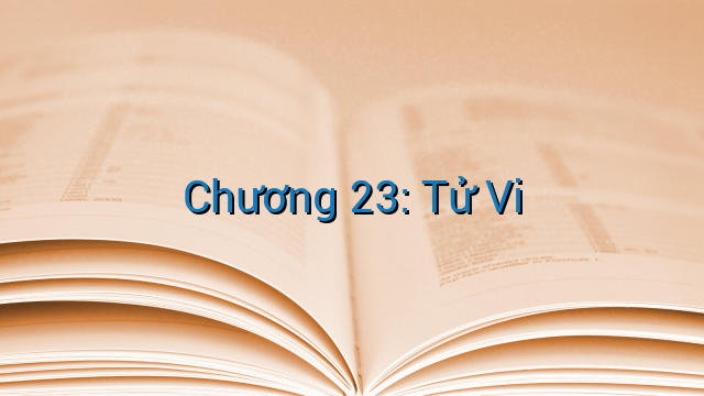 Chương 23: Tử Vi