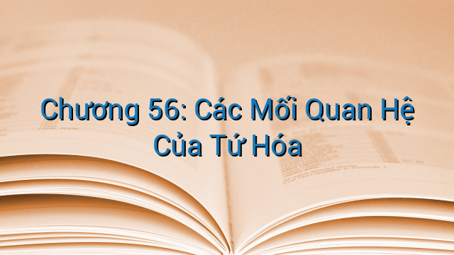Chương 56: Các Mối Quan Hệ Của Tứ Hóa