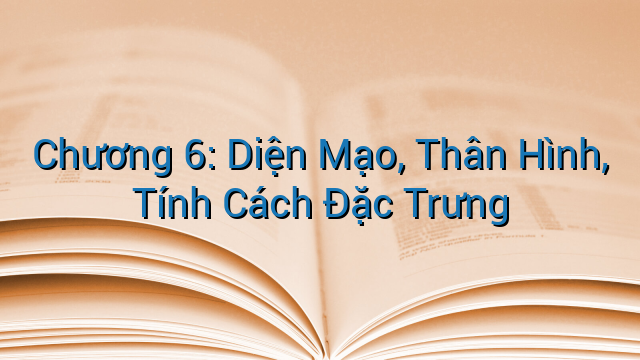 Chương 6: Diện Mạo, Thân Hình, Tính Cách Đặc Trưng