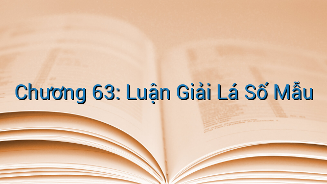 Chương 63: Luận Giải Lá Số Mẫu