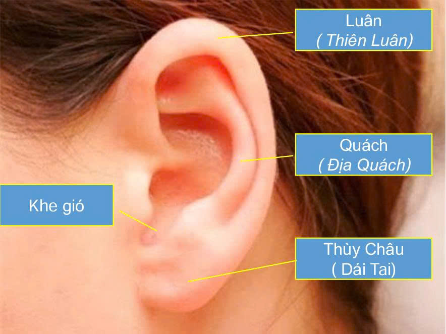 CHUYÊN ĐỀ: TƯỚNG TAI
