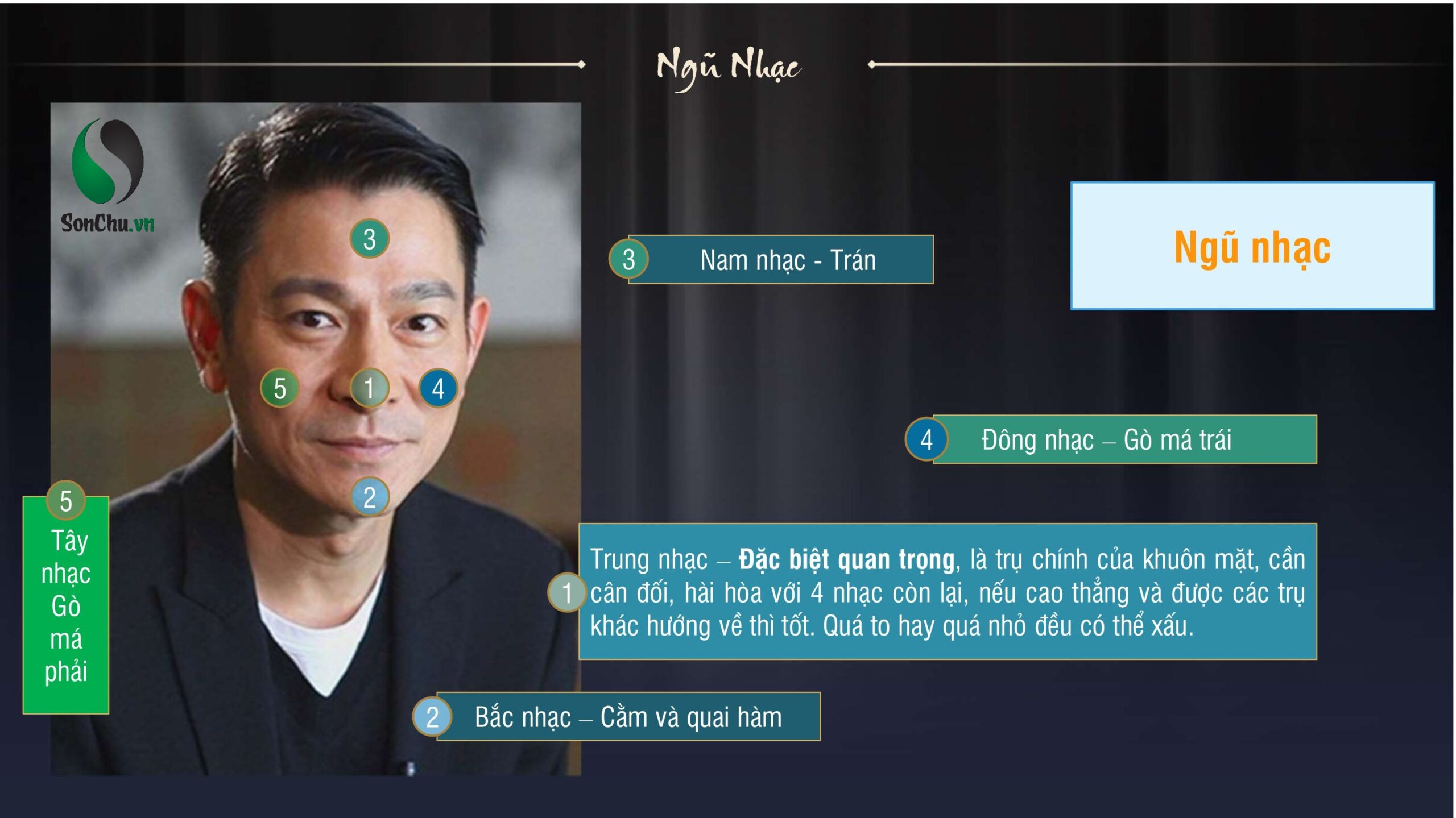 CHUYÊN ĐỀ: ỨNG DỤNG NGŨ NHẠC TRONG LUẬN ĐOÁN NHÂN TƯỚNG HỌC - TỪ CẤU TRÚC HÌNH THỂ ĐẾN NĂNG LỰC VẬN HÀNH.