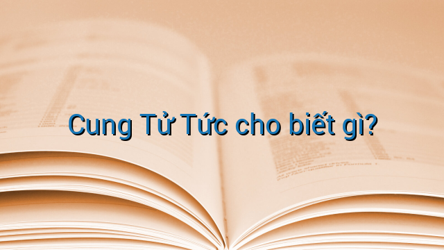 Cung Tử Tức cho biết gì?