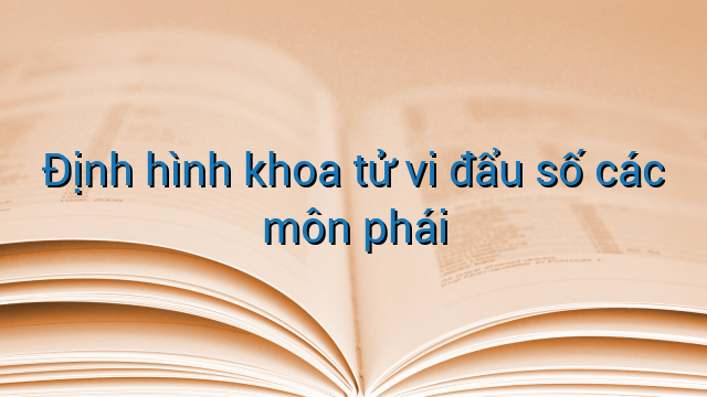 Định hình khoa tử vi đẩu số các môn phái
