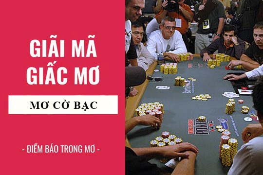 Giải mã giấc mơ: Nằm mơ thấy chơ cờ bạc, thua bạc điềm báo gì, lành hay dữ? con số liên quan