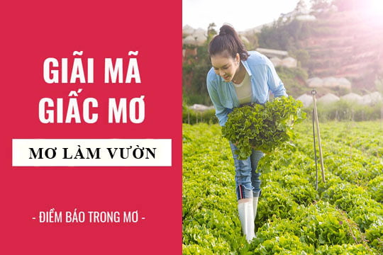 Giải mã giấc mơ: Nằm mơ thấy làm vườn điềm báo gì, lành hay dữ? con số liên quan