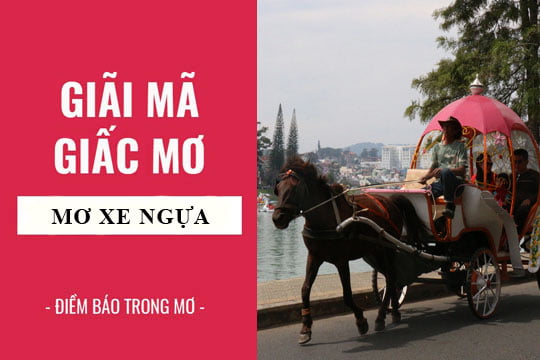 Giải mã giấc mơ: Nằm mơ thấy ngựa, xe ngựa điềm báo gì, lành hay dữ? con số liên quan
