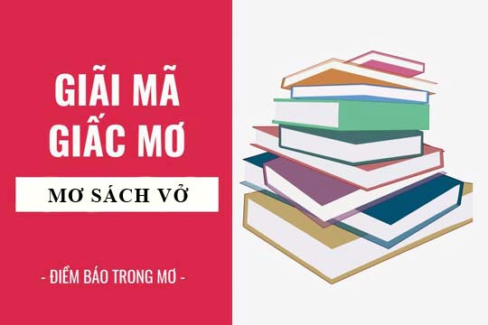 Giải mã giấc mơ: Nằm mơ thấy sách vở, sổ sách điềm báo gì, lành hay dữ? con số liên quan