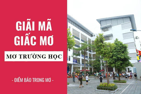 Giải mã giấc mơ: Nằm mơ thấy trường học điềm báo gì, lành hay dữ? con số liên quan