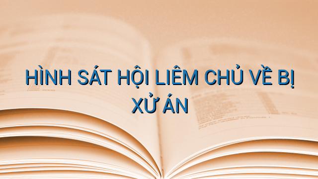 HÌNH SÁT HỘI LIÊM CHỦ VỀ BỊ XỬ ÁN