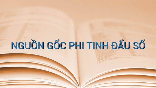 NGUỒN GỐC PHI TINH ĐẨU SỐ