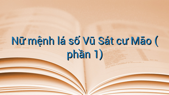 Nữ mệnh lá số Vũ Sát cư Mão ( phần 1)