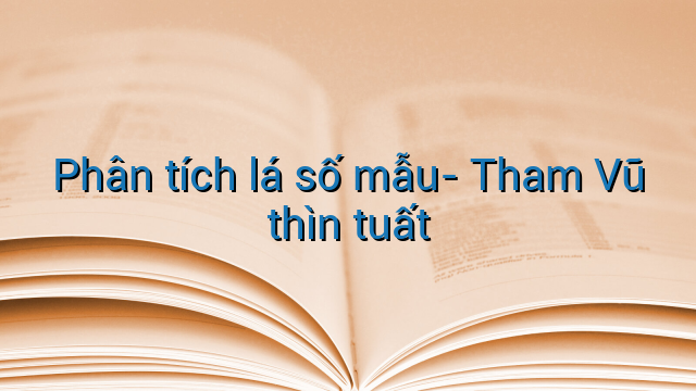 Phân tích lá số mẫu- Tham Vũ thìn tuất