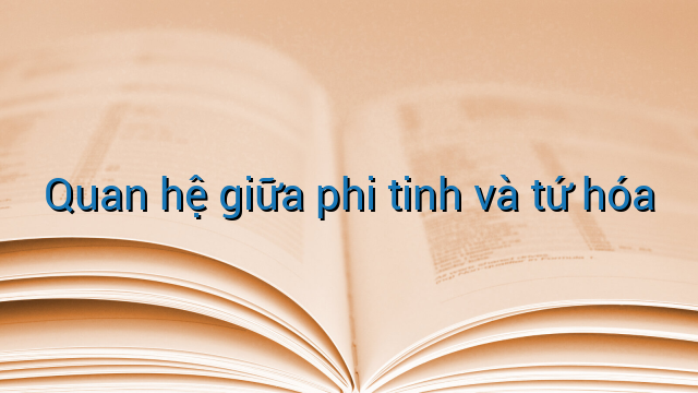 Quan hệ giữa phi tinh và tứ hóa