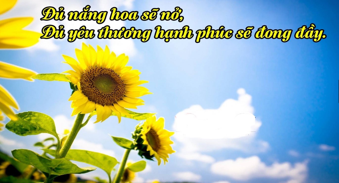 Sao Liêm Trinh ở cung Phúc Đức