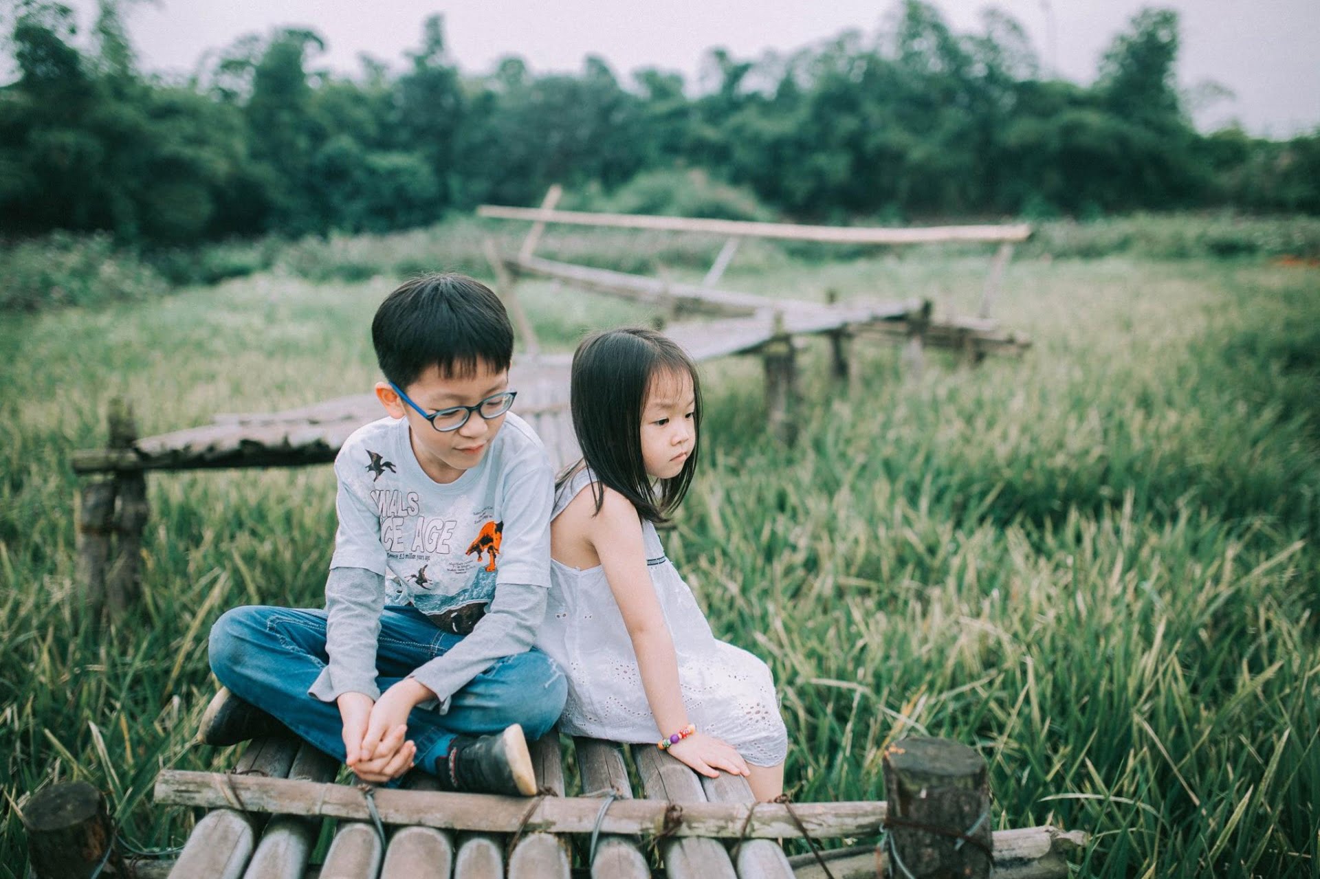 Sao Thái Dương ở cung Huynh Đệ