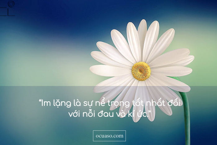 Sao Thái Dương ở cung Phúc Đức
