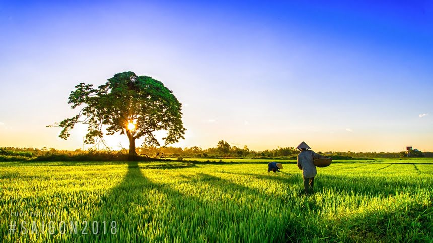 Sao Thái Dương ở cung Quan Lộc
