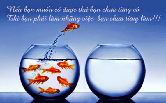 Sao Tham Lang ở cung Quan Lộc
