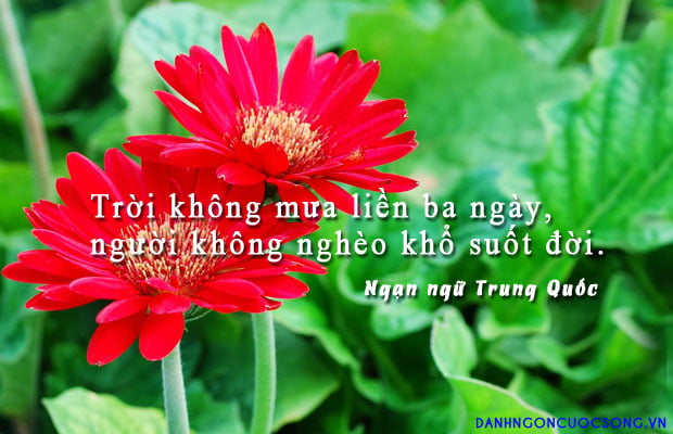 Sao Tham Lang ở cung Tài Bạch