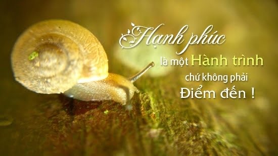 Sao Thiên Phủ ở cung Phúc Đức