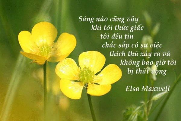 Sao Thiên Tướng ở cung Phúc Đức