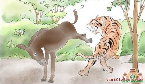 TÀI NGHỆ CON LỪA