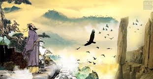 Tăng bổ thái vi phú