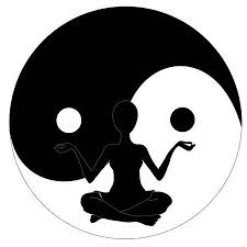 THIÊN ĐỒNG - CỰ MÔN tại Sửu Mùi