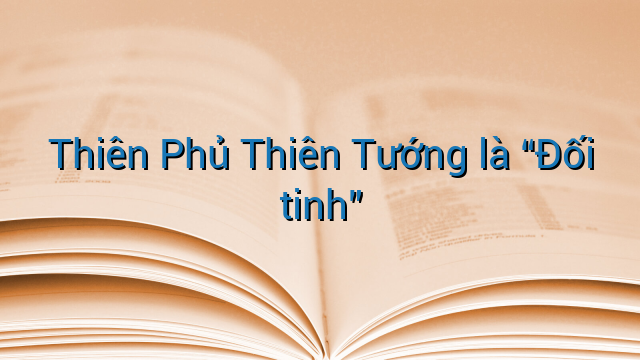 Thiên Phủ Thiên Tướng là "Đối tinh"