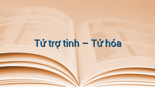 Tứ trợ tinh – Tứ hóa