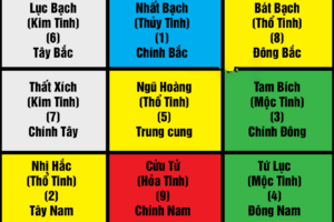 cuu-cung-phi-tinh-2022a