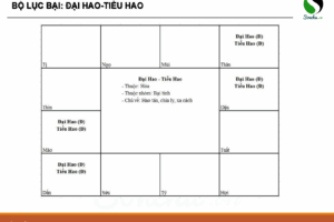 13- Tính chất các sao phụ còn lại