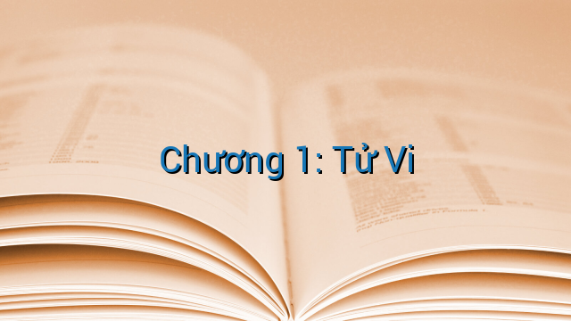 Chương 1: Tử Vi