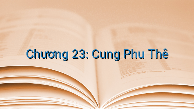 Chương 23: Cung Phu Thê