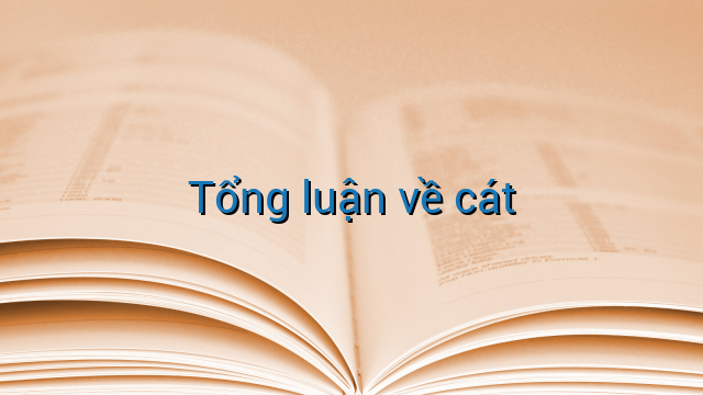 Tổng luận về cát