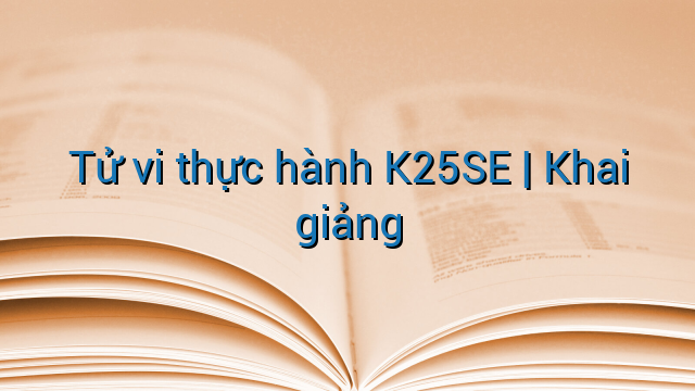 Tử vi thực hành K25SE | Khai giảng
